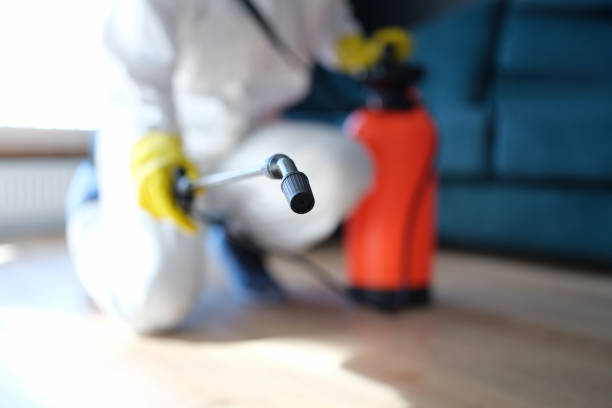 Best Mold Odor Removal Services  in Tunica Resorts, MS